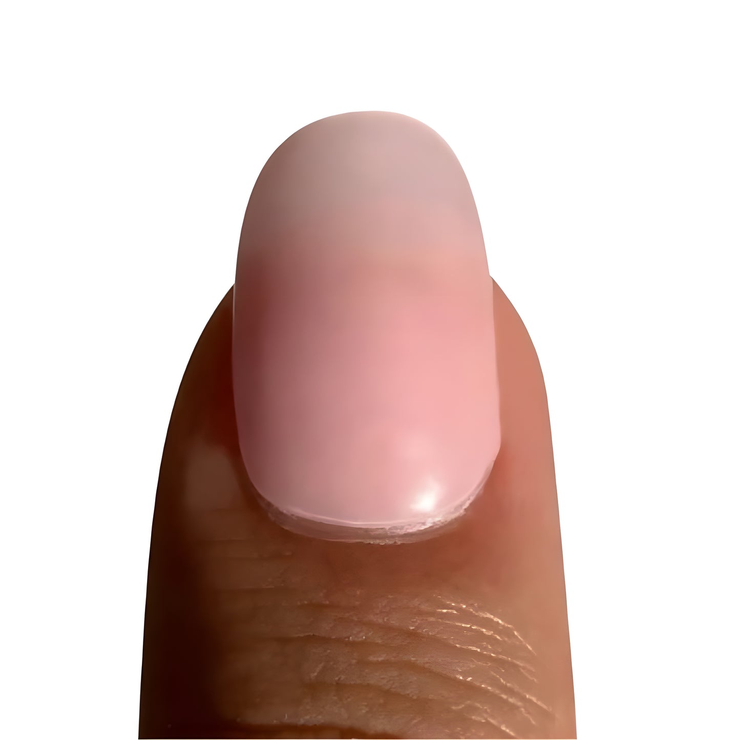 Bande rose d'ongle de Transparent-Gel